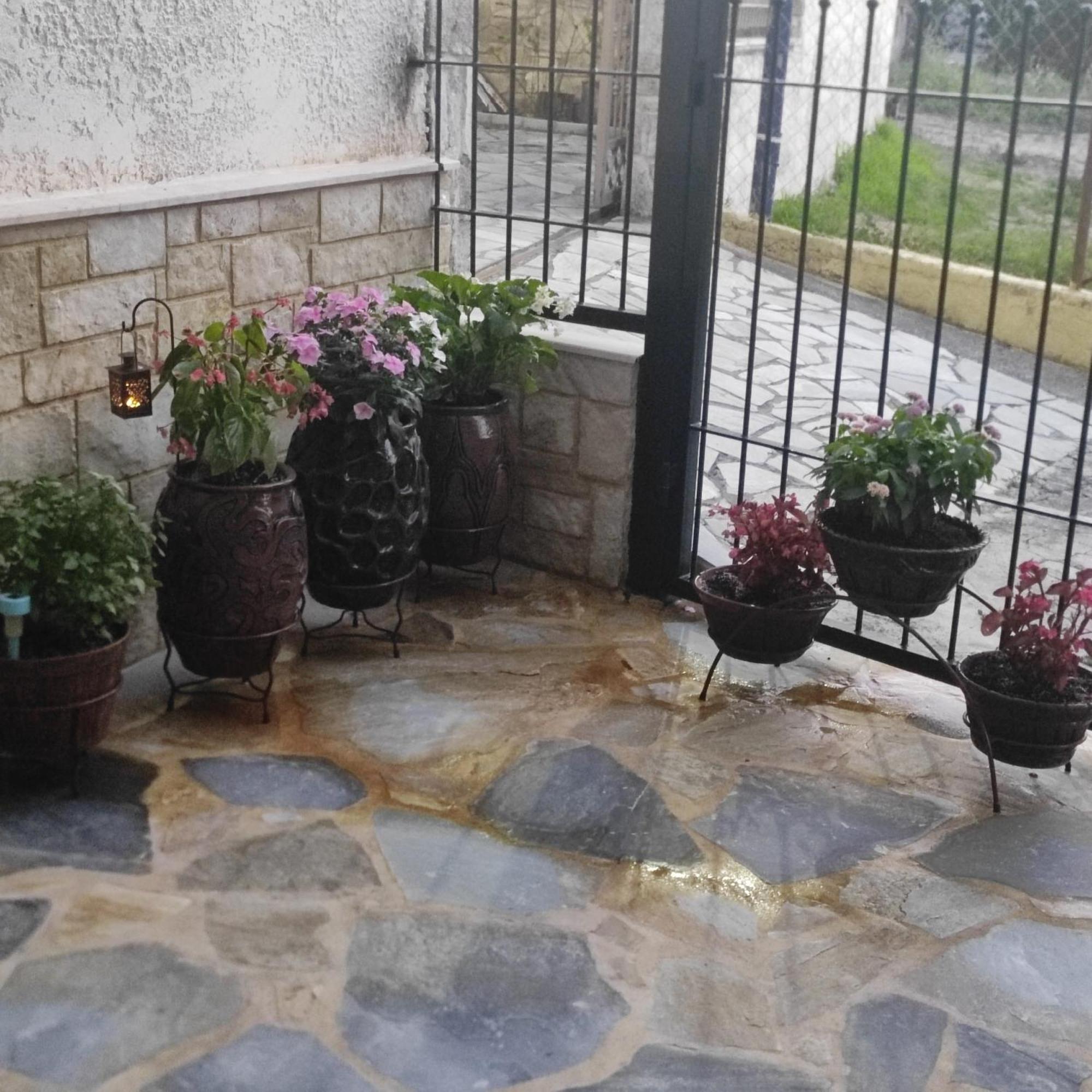 Appartamento Eleni-Areti Pefkochori Esterno foto