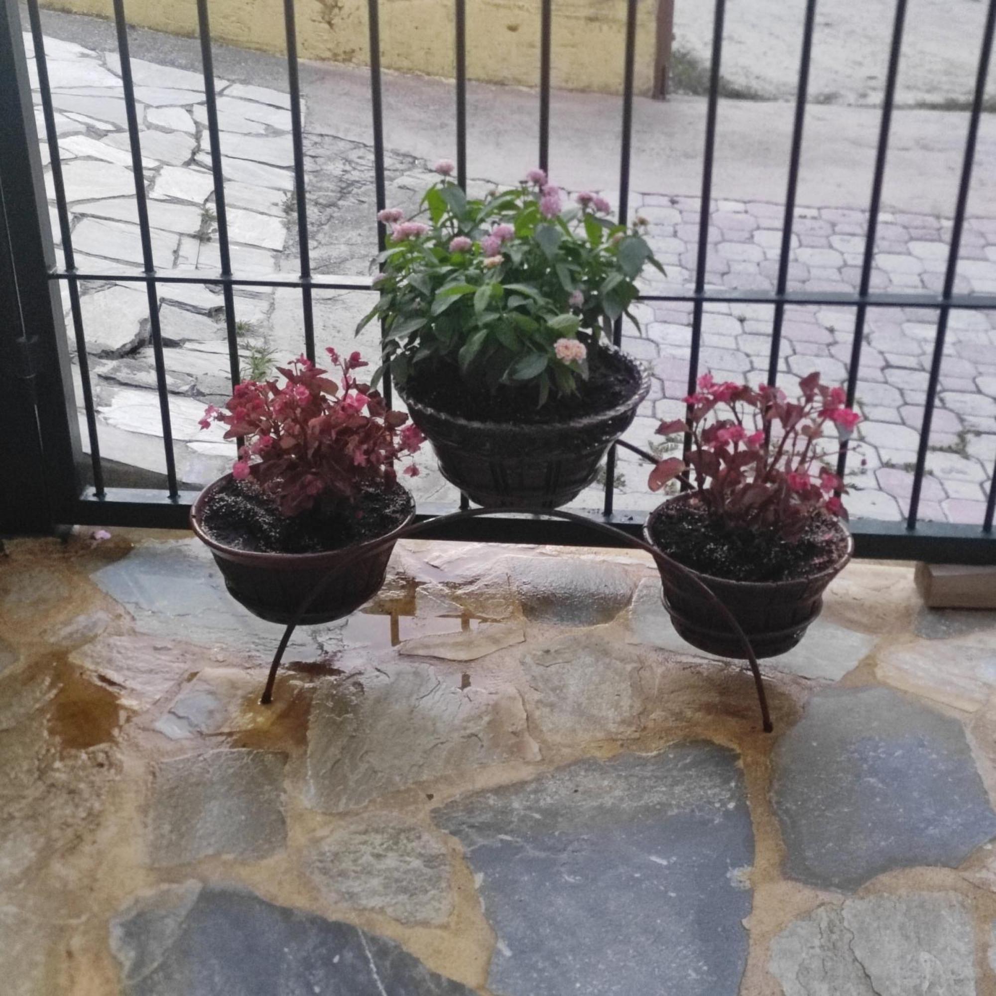 Appartamento Eleni-Areti Pefkochori Esterno foto