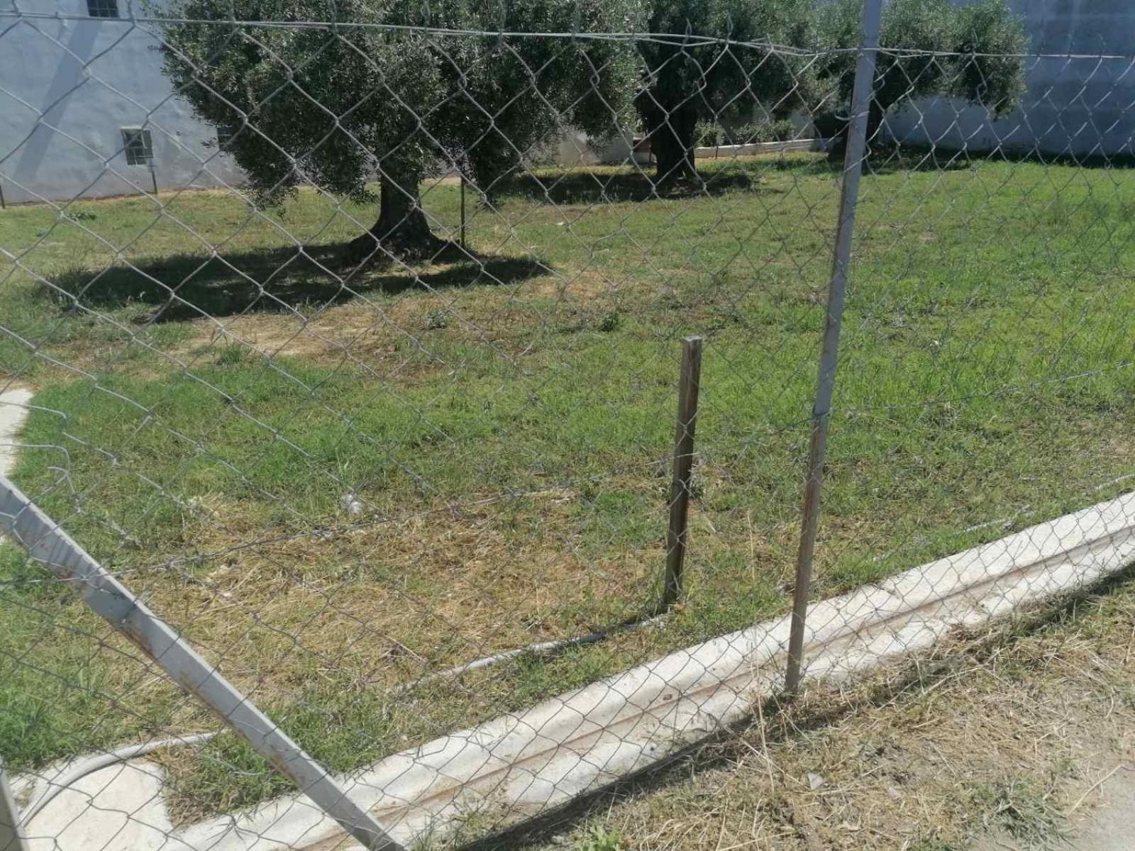 Appartamento Eleni-Areti Pefkochori Esterno foto