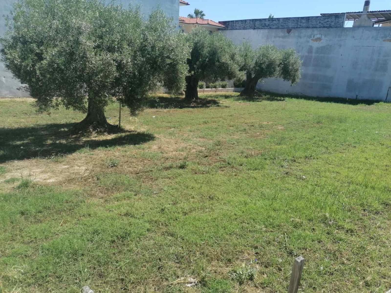 Appartamento Eleni-Areti Pefkochori Esterno foto